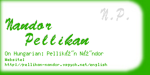 nandor pellikan business card